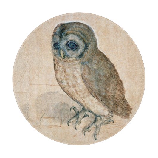 VERNIEUWING VAN DIERENTEKENINGEN / HET OWL SNIJPLANK (Voorkant)