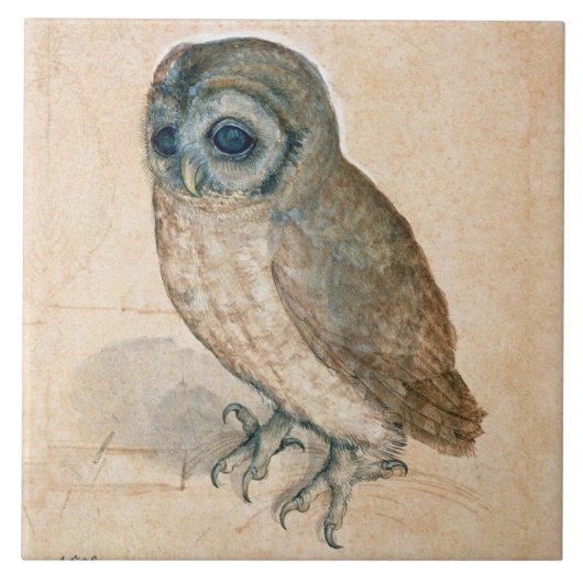 VERNIEUWING VAN DIERENTEKENINGEN / HET OWL TEGELTJE (Voorkant)