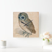 VERNIEUWING VAN DIERENTEKENINGEN / HET OWL VIERKANTE KLOK (Huis)