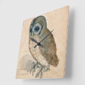 VERNIEUWING VAN DIERENTEKENINGEN / HET OWL VIERKANTE KLOK (Hoek)