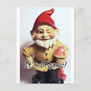 Veronica de Gnome Briefkaart