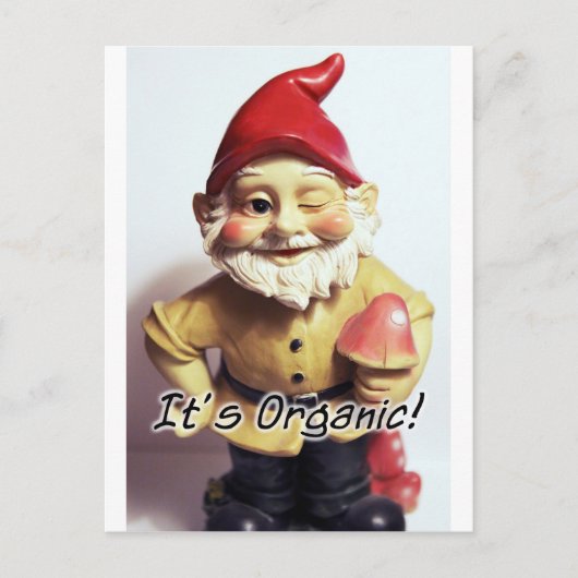 Veronica de Gnome Briefkaart (Voorkant)