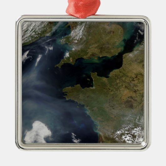 Verontreiniging van Frankrijk Metalen Ornament (Voorkant)