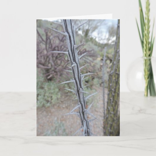 verontschuldiging kaart (Voorkant)