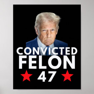 Veroordeelde Misdadiger 47 President 2025 Anti Tru Poster