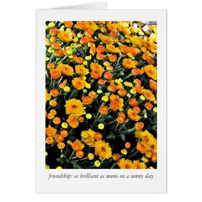 Verordening (nr. 0732) (Voorkant)