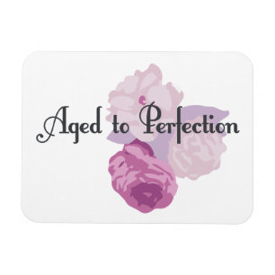 Verouderd tot perfectie! magneet