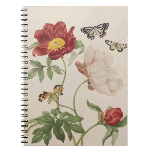 Verouderde pony en Butterflies Spiral Notitieboek (Voorkant)