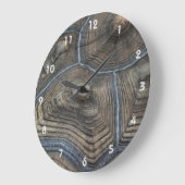 Verouderde Tortoiseshell Fotografisch Grote Klok (Hoek)