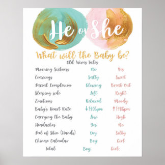 Verouderde vrouwtjes Tale Gender Reopenbaart teken Poster