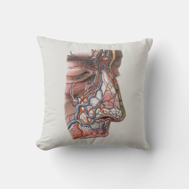 Verouderde wetenschap Menselijke anatomie, gezicht Kussen (Voorkant)