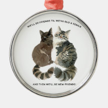 Verouderende humor voor kat-lievende vrienden echt
