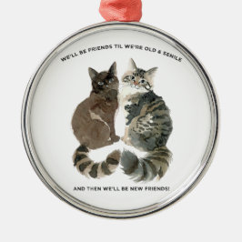 Verouderende humor voor kat-lievende vrienden echt metalen ornament