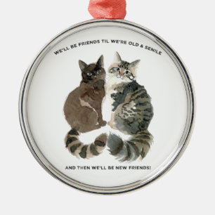 Verouderende humor voor kat-lievende vrienden echt metalen ornament