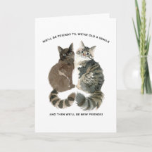 Verouderende humor voor kat-lievende vrienden vrou