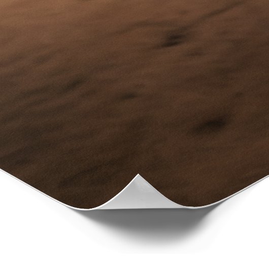 Verover het Colosseum: Oude Gladiator Arena Pos Poster (Hoek)