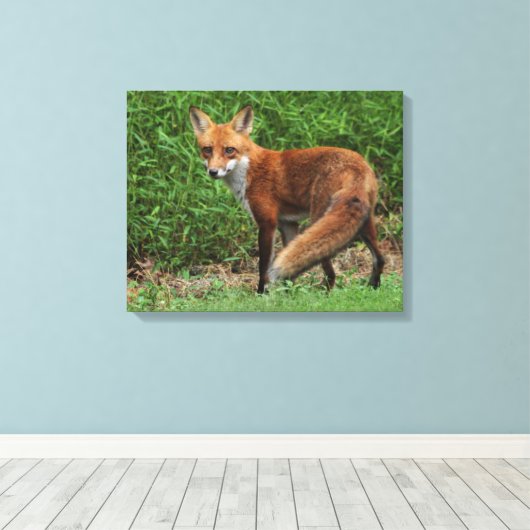 Verpakking Canvas (Insitu (Houten vloer))