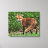 Verpakking Canvas (Voorkant)