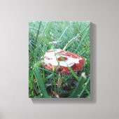 Verpakking Canvas (Voorkant)