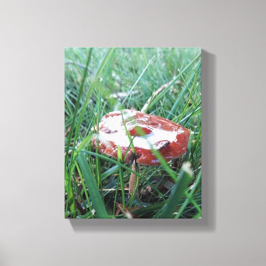 Verpakking Canvas (Voorkant)