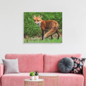 Verpakking Canvas Afdruk (Insitu (Woonkamer))