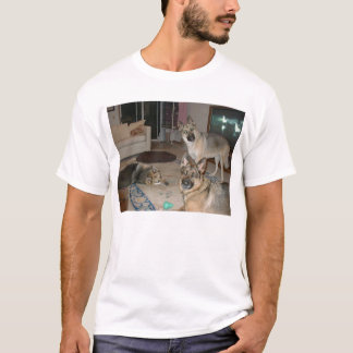 Verpakking in rust t-shirt