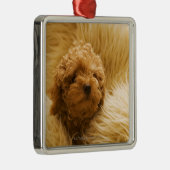 Verpakking Metalen Ornament (Rechts)