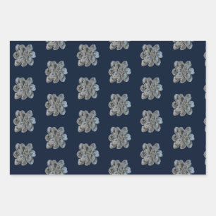 Verpakking Papier Bladen 3 Oyster Art design Inpakpapier Vel