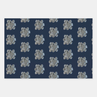 Verpakking Papier Bladen 3 Oyster Art design Inpakpapier Vel