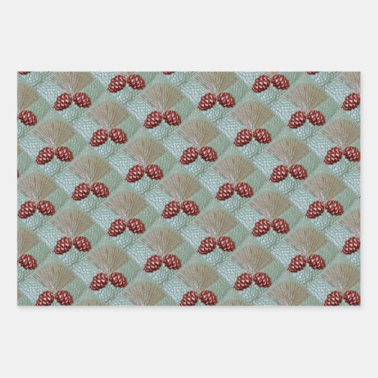 Verpakking Papier set van 3 vellen Pinecones (Voorkant)