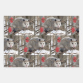 Verpakking Papieren vellen Opossum Natuur (Voorkant 2)