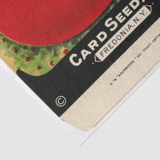  verpakking tomaat en instructies tissuepapier (Detail)