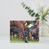 verpakking van bloedhonden briefkaart (Staand voorkant)