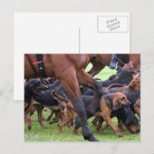 verpakking van bloedhonden briefkaart (Voorkant / Achterkant)