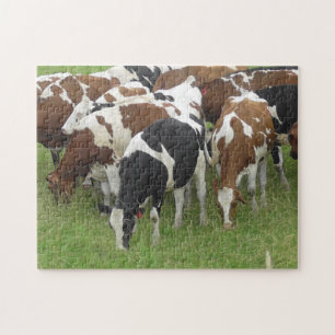 Verpakking van Koeien die gras eten in de velden Legpuzzel