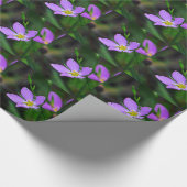 Verpakking van papier Wilde bloem Sabatia in Laven (Hoek)