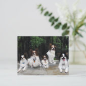 Verpakking van Papillons van Hershey Kiss Hero Ken Briefkaart (Staand voorkant)