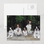 Verpakking van Papillons van Hershey Kiss Hero Ken Briefkaart (Voorkant / Achterkant)