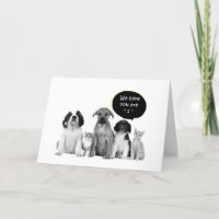 VERPAKKING VAN PUPPIES ZEGGEN "1e" MAXIMALE MAANDA