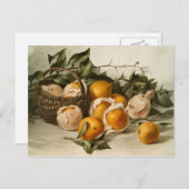 Verpakking van Sinaasappels Briefkaart (Voorkant / Achterkant)