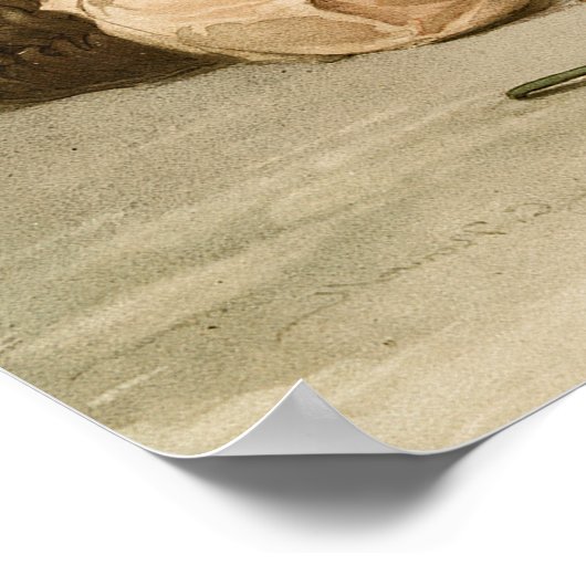 Verpakking van Sinaasappels Poster (Hoek)