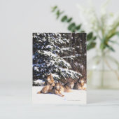 Verpakking van wolven in de winter briefkaart (Staand voorkant)