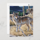 Verpakking van wolven in het bosschilderij briefkaart (Voorkant / Achterkant)