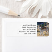 Verpakking van wolven in het bosschilderij etiket (Insitu)