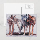 Verpakkingsbladen 2001 briefkaart (Voorkant / Achterkant)