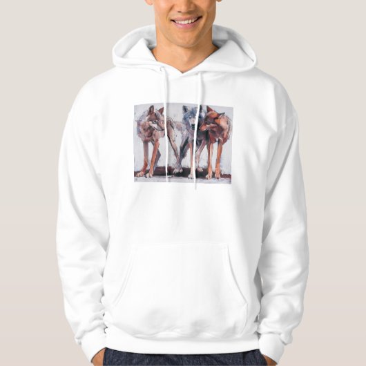 Verpakkingsbladen 2001 hoodie (Voorkant)