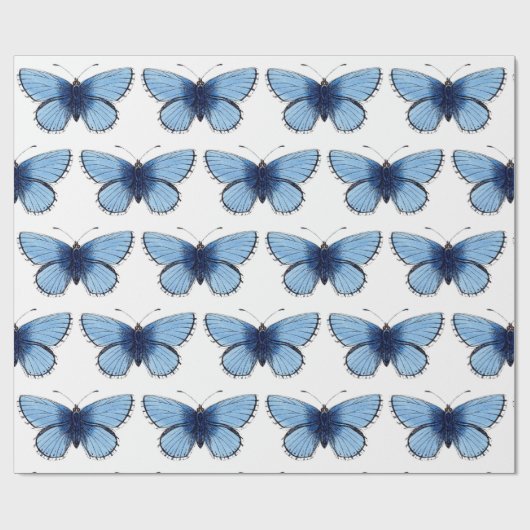 Verpakkingspapier - Blauwe vlinder Cadeaupapier (Vlak)