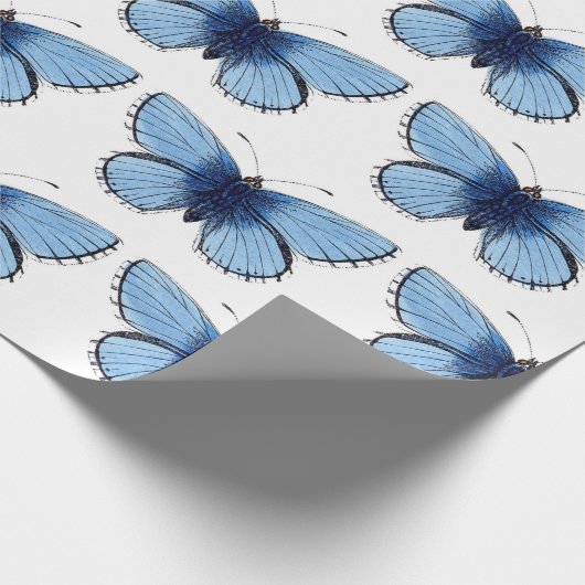 Verpakkingspapier - Blauwe vlinder Cadeaupapier (Hoek)