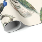  verpakkingspapier cadeaupapier (Rol Hoek)