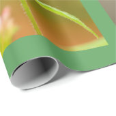 Verpakkingspapier Cadeaupapier (Rol Hoek)